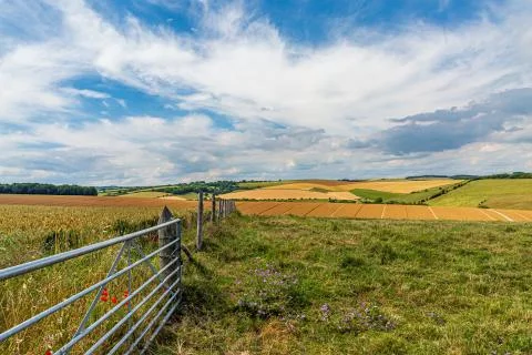 Patchwork Fields in the South Downs 写真素材