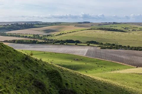 Patchwork fields in the South Downs, on a sunny September day 스톡 사진