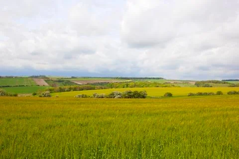 Patchwork fields in the yorkshire wolds Stock Photos