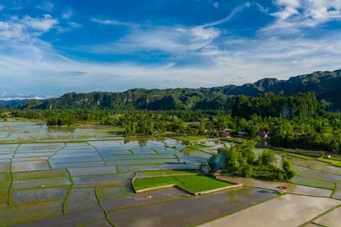 Patchwork of flooded rice fields in Laos Stock Photos