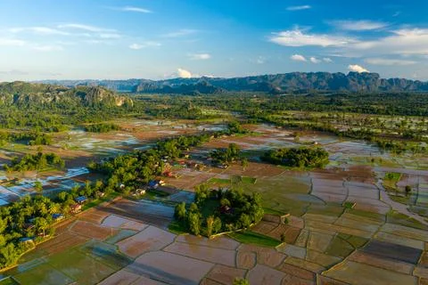 Patchwork of flooded rice fields in rural Laos 스톡 사진