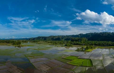 Patchwork of flooded rice fields under blue sky Stock Photos