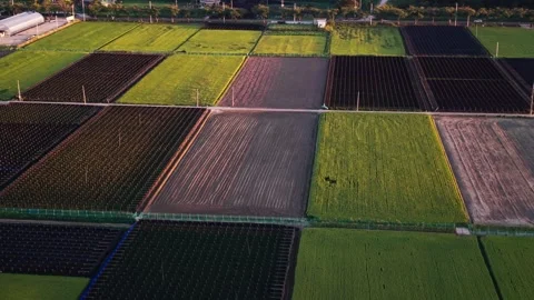 Patchwork of Ginseng Beds Rice Paddies and Plowed Plots in Jewon myeon Geumsan Stock Footage 346751659