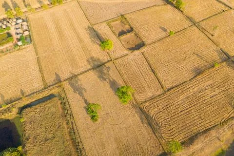 Patchwork of golden fields near Phnom Sampov Stock Photos