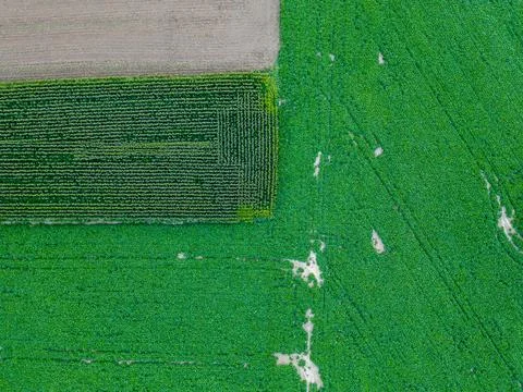 Patchwork of Green: Aerial View of Diverse Crop Patterns Foto stock