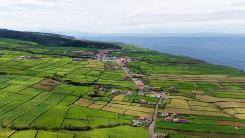 Patchwork Of Green Agricultural Fields On Terceira Island In Azores, Portugal Stock-Footage 336384526