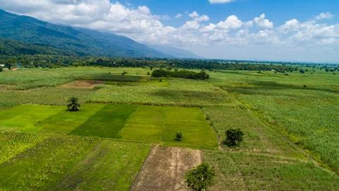 Patchwork of green crop fields beneath mountains Foto stock