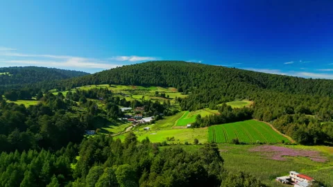 Patchwork of green farm fields on a forested hillside under a blue sky Stock Footage 346015177