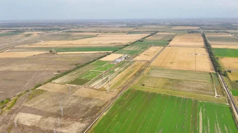 Patchwork of Green Fields and Yellow Corn Fields from Above Stock Footage 346972646