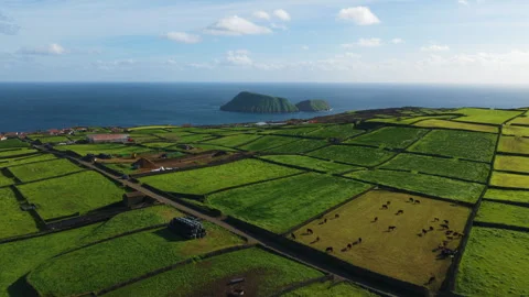 Patchwork Green Fields Of Raminho Village With Cabras Islets On Terceira Island Video stock 337206141