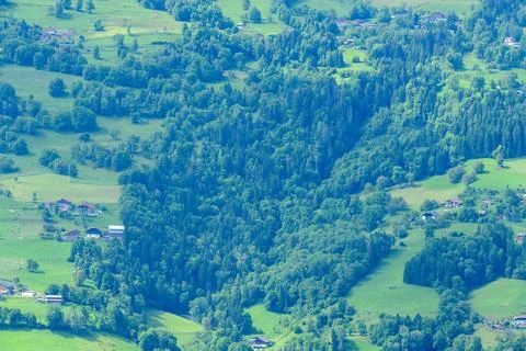 Patchwork of green meadows and dense alpine forest 스톡 사진