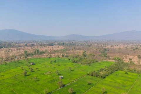 Patchwork of green rice fields in rural Laos Stock Photos