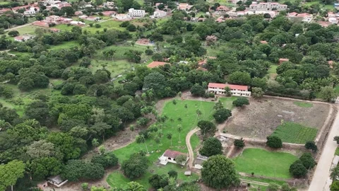 Patchwork of Green: A Tapestry Woven by Nature's Hand Stock Footage 274994046