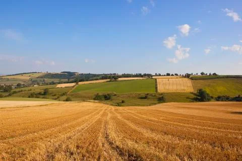Patchwork harvest landscape Stock Photos