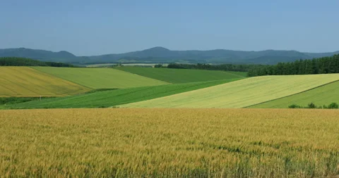Patchwork Hill Stock-Footage 332361767