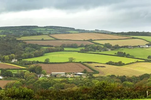 A patchwork of hilly fields bordered by trees and shrubs Fotos de archivo