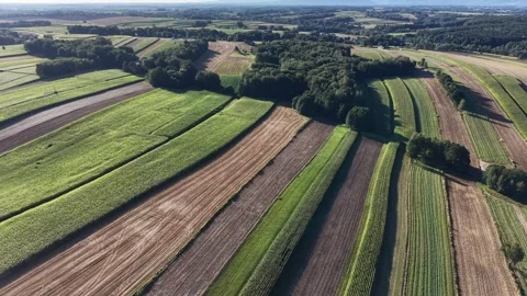 Patchwork landscape of green farm fields and forest Stock Footage 347528572