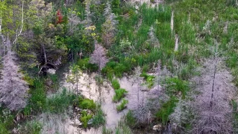 Patchwork Marsh Pools and Greenery From Above Stock Footage 345285814