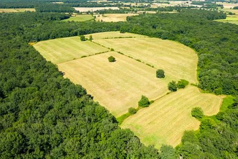 Patchwork meadows bordered by dense woodland Fotos de archivo