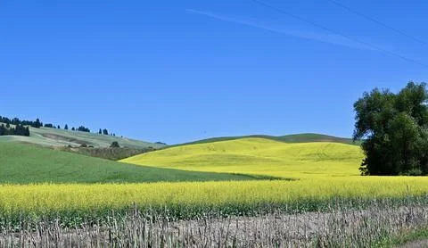 Patchwork Paradise: Three Seasons in One View Stock Photos