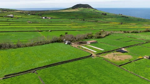 Patchwork Pasture Agricultural Fields On Terceira Island, Azores, Portugal - Video stock 334761755