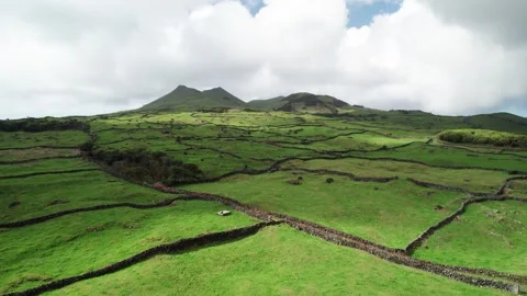 Patchwork pastureland with historic stone walls in volcanic landscape, Pico Stock Footage 303397655