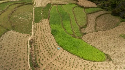 Patchwork plantation valley in revealing Karst mountainous landscape. Stock Footage 242257544