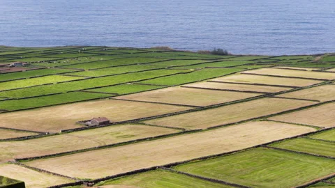 Patchwork Quilt Agricultural Fields At Miradouro da Serra do Cume On Terceira Stock Footage 334762789