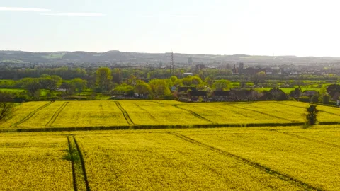 Patchwork rapeseed fields bordered by hedgerows and scattered homes near small Stock Footage 333580420