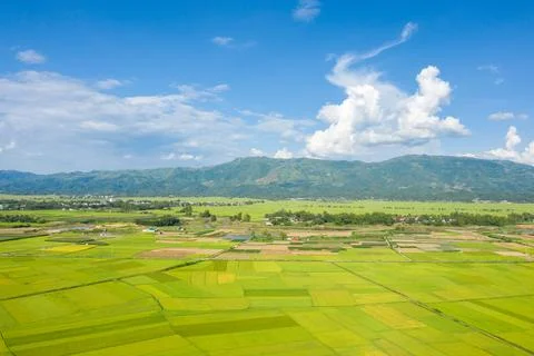 Patchwork rice fields and distant mountains, Dien Bien Phu Stock Photos