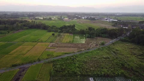 Patchwork rice fields and farmland stretching toward distant mountains at s.. Stock-Footage 341547815