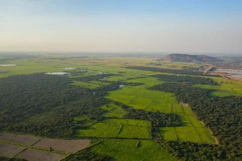 Patchwork rice fields and forest near Tonle Sap Stock Photos