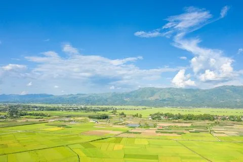Patchwork rice fields and green mountains, Dien Bien Phu 스톡 사진