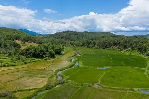 Patchwork rice fields and winding stream Laos 스톡 사진
