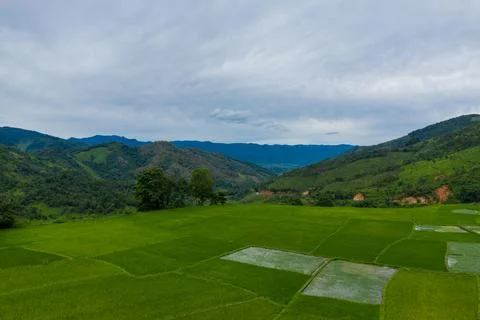 Patchwork rice fields in Lao countryside 스톡 사진