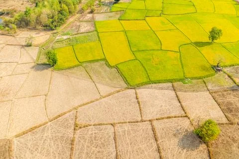 Patchwork of rice fields in rural Laos Foto stock