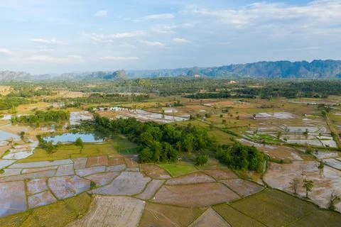 Patchwork rice paddies and ponds in rural Laos 스톡 사진