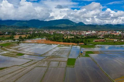 Patchwork rice paddies outside Vang Vieng town 写真素材