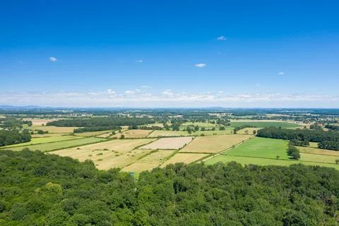 Patchwork of rural fields and forest under blue sky Foto stock