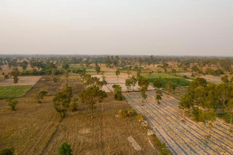 Patchwork of rural fields near Angkor temples 스톡 사진