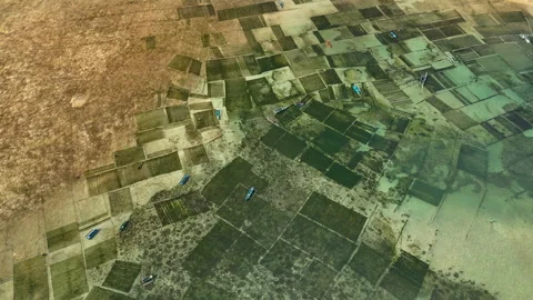 A patchwork of seaweed farms in shallow water sand blue boats in a coastal Stock Footage 278575787