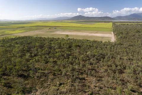 Patchwork Of Sugar Cane Fields And Forest Stock Photos