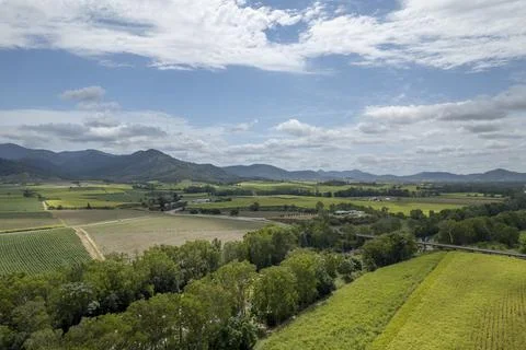 Patchwork Of Sugarcane Fields Under Cloudy Sky Stock Photos
