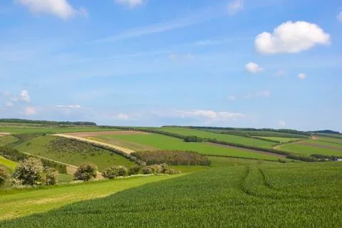 Patchwork summer landscape Stock Photos
