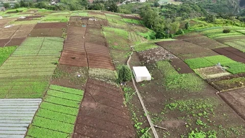 Patchwork Vegetable Farms on Mountain Slopes Near Zunil Volcano Stock Footage 343579536