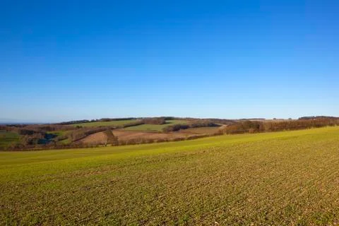 Patchwork winter landscape Stock Photos
