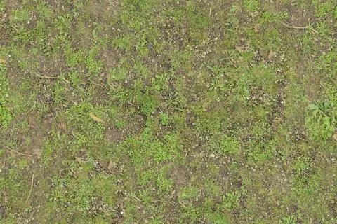 Patchy Green Grass and Dirt Ground Texture Seamless Overhead View Stock Photos