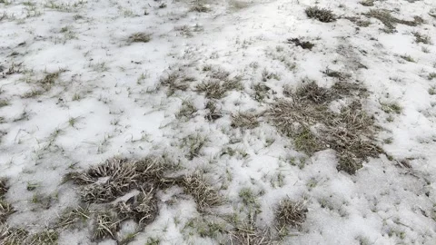Patchy Snow and Grass Ground Texture Stock Footage 344601364