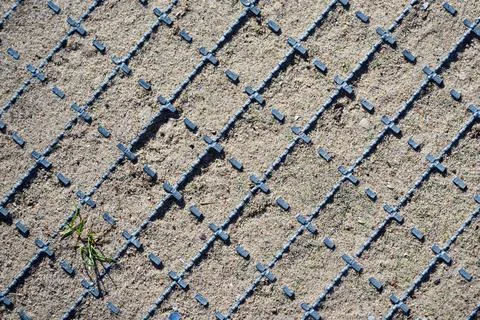Patchy soil and small grass sprout inside metal ground grid Stock Photos