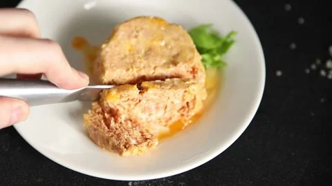 Pate meat pork or chicken terrine tasty snack fresh delicious gourmet food Stock Footage 337064541